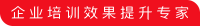 顶效领航