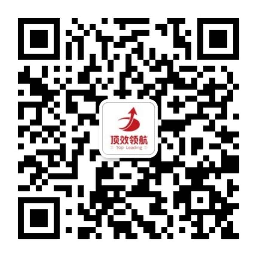 顶效领航
