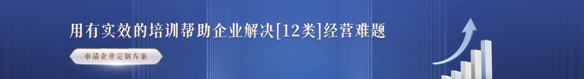 顶效领航